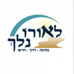 צילום מסך 5781-11-27 ב-13.19.56